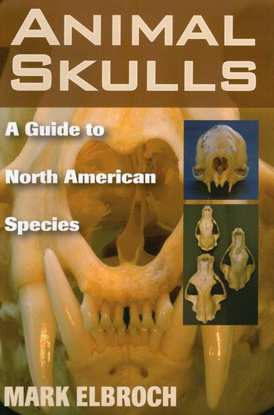 Animal Skulls
