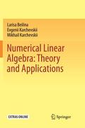 Numerical Linear Algebra: Theory and Applications