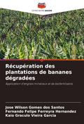 Récupération des plantations de bananes dégradées