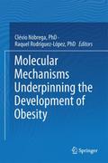 Molecular Mechanisms Underpinning the Development of Obesity
