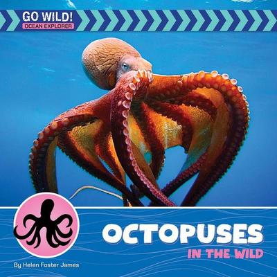 Octopuses in the Wild