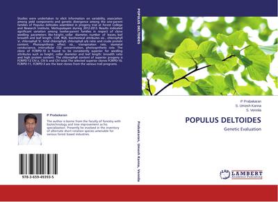 Populus Deltoides