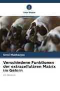 Verschiedene Funktionen der extrazellulären Matrix im Gehirn