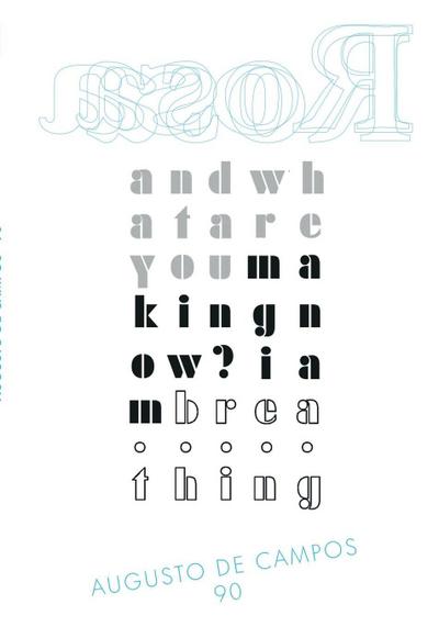 Rosa - Augusto de Campos 90