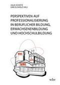 Perspektiven auf Professionalisierung in Beruflicher Bildung, Erwachsenenbildung und Hochschulbildung