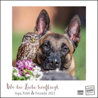 Wo die Liebe hinfliegt 2023 - Ingo, Poldi und Freunde - Wandkalender mit Spiralbindung - DUMONT Quadratformat 24 x 24 cm