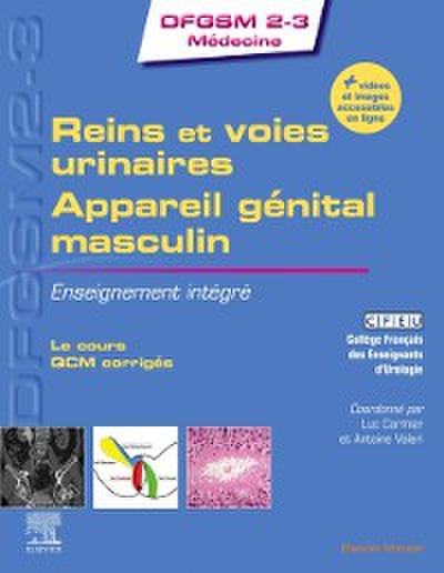Reins et voies urinaires - Appareil genital masculin