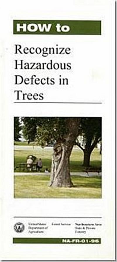 How to Recognize Hazardous Defects in Trees