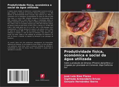 Produtividade física, económica e social da água utilizada