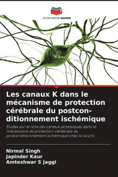 Les canaux K dans le mécanisme de protection cérébrale du postcon-ditionnement ischémique