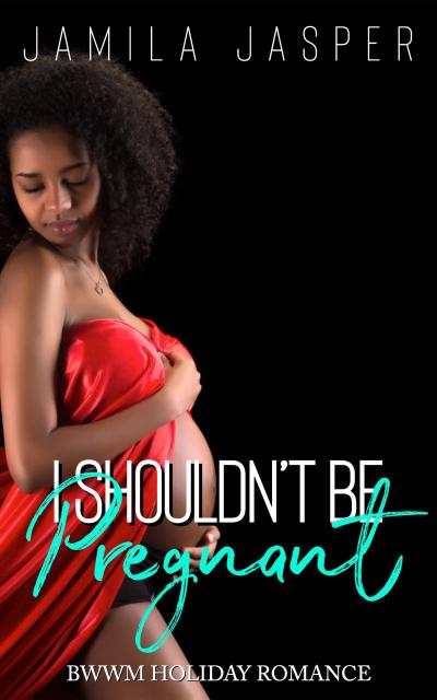 I Shouldn’t Be Pregnant (BWWM Holiday Romance Series, #5)