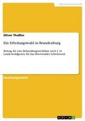 Ein Erholungswald in Brandenburg