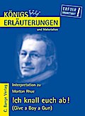 Ich knall euch ab! - Give a Boy a Gun von Morton Rhue. Textanalyse und Interpretation.