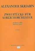 2 Stückefür Streichorchester