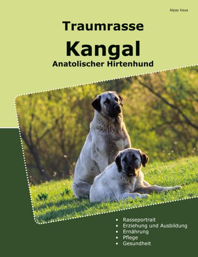 Traumrasse Kangal