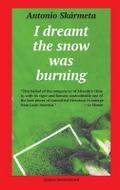 I Dreamt the Snow was Burning