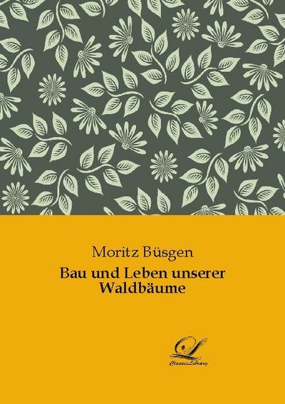 Bau und Leben unserer Waldbäume