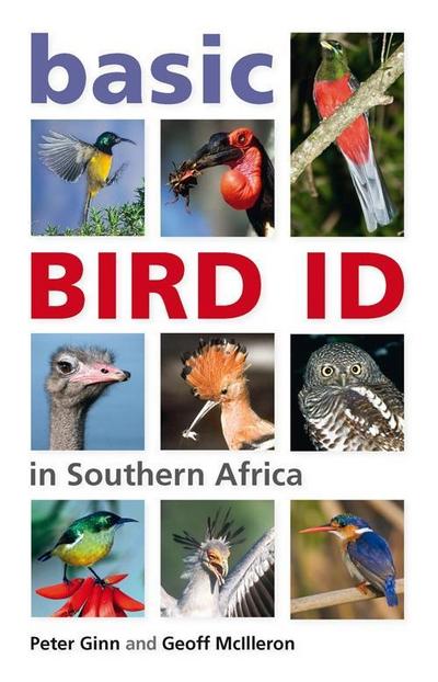 Basic Bird ID in Southern Africa