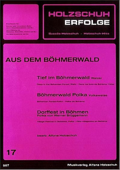 Holzschuh-Erfolge Band 17 fürKlavier / Akkordeon
