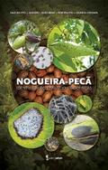Nogueira-pecã