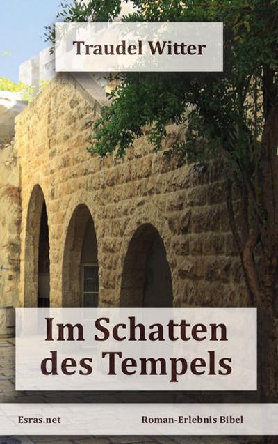 Im Schatten des Tempels