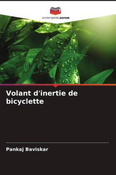 Volant d’inertie de bicyclette