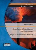 Ursachen und Auswirkungen des Klimawandels: Folgen