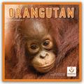Orangutan/Orang-Utan 2027