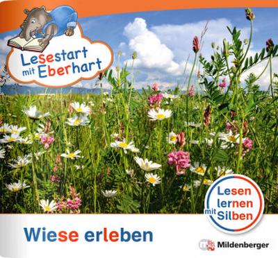 Wiese erleben