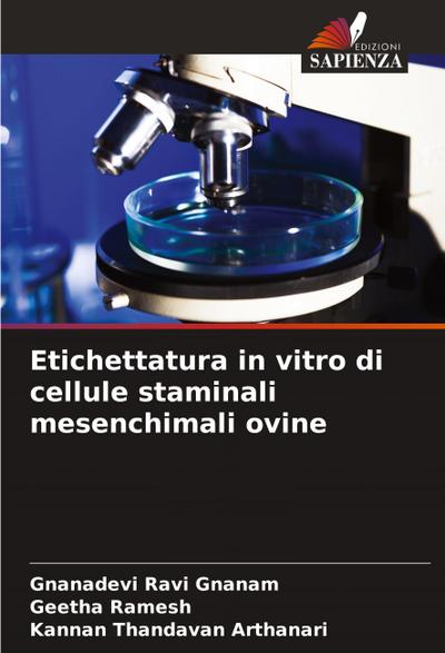 Etichettatura in vitro di cellule staminali mesenchimali ovine