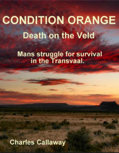 Condition Orange