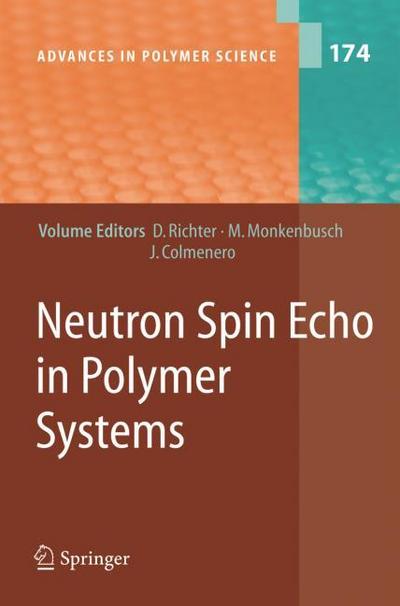 Neutron Spin Echo in Polymer Systems