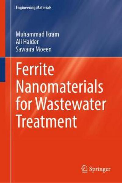 Ferrite Nanomaterials for Wastewater Treatment