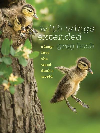 With Wings Extended: A Leap Into the Wood Duck’s World
