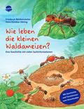 Wie leben die kleinen Waldameisen?