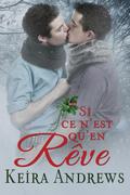 Si ce n’est qu’en rêve (de l’amour pour les fêtes)