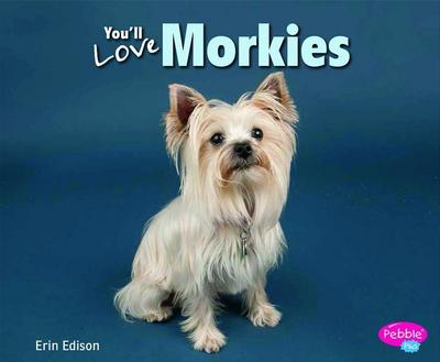 You’ll Love Morkies