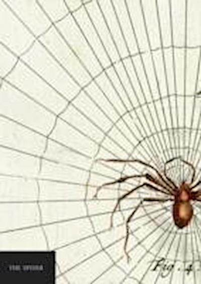 Natural History Museum: The Spider Notebook