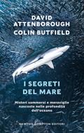 I segreti del mare
