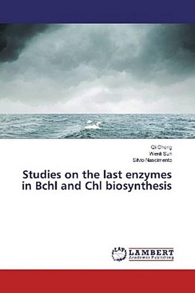 Studies on the last enzymes in Bchl and Chl biosynthesis