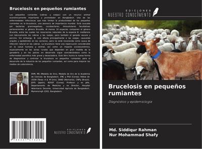 Brucelosis en pequeños rumiantes