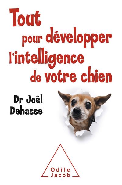 Tout pour developper l’intelligence de votre chien