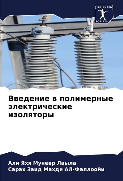 Vwedenie w polimernye älektricheskie izolqtory