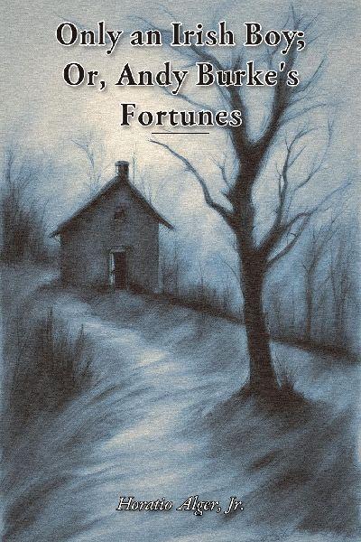 Only an Irish Boy; Or, Andy Burke’s Fortunes