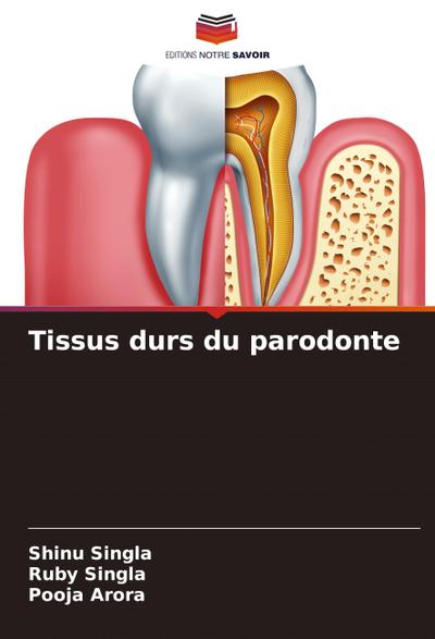 Tissus durs du parodonte