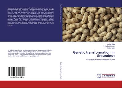Genetic transformation in Groundnut