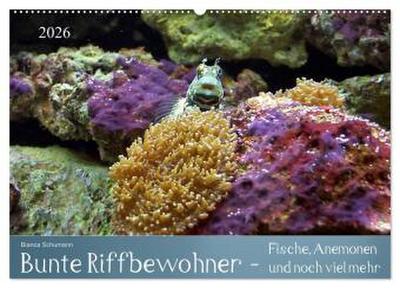 Bunte Riffbewohner - Fische, Anemonen und noch viel mehr (Wandkalender 2026 DIN A2 quer), CALVENDO Monatskalender