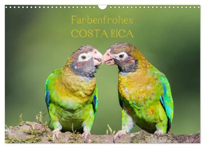 Farbenfrohes Costa Rica (Wandkalender 2026 DIN A3 quer), CALVENDO Monatskalender