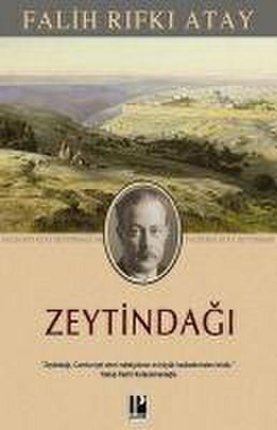 Zeytindagi