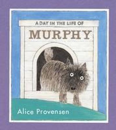 A Day in the Life of Murphy